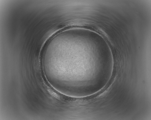 X0000067340779200603311125