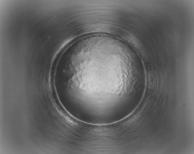 X0000067340780200603311125