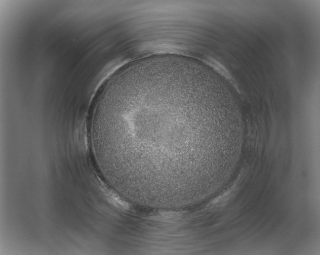 X0000067340782200603311125