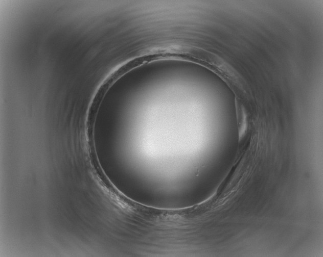 X0000067340784200603311125