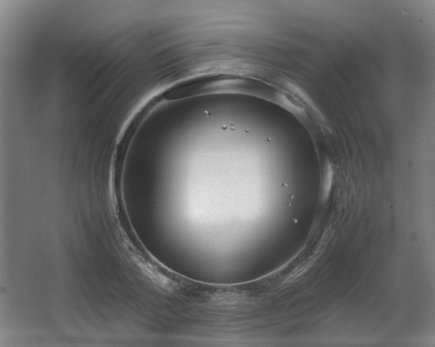 X0000067340788200603311125