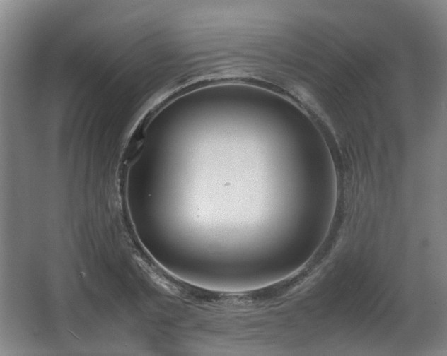 X0000067340789200603311125