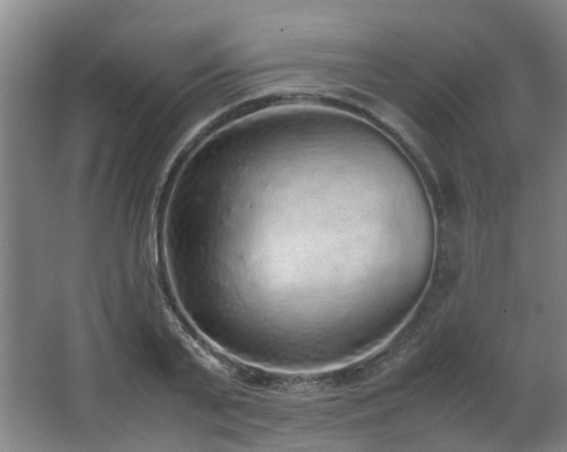 X0000067340791200603311125