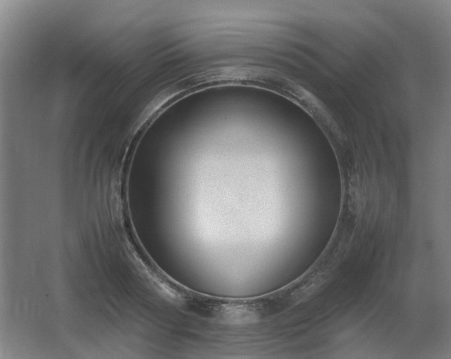 X0000067340794200603311125