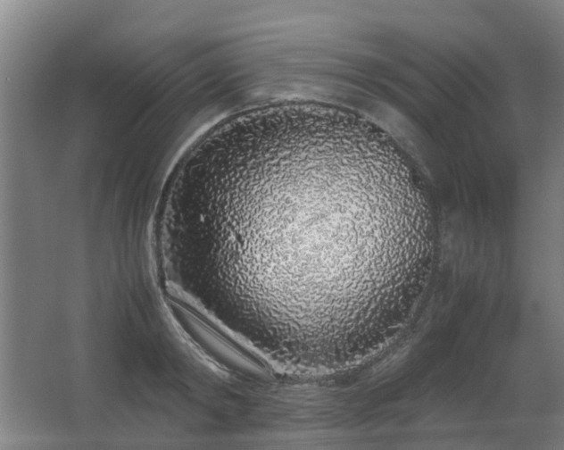 X0000067340798200603311125