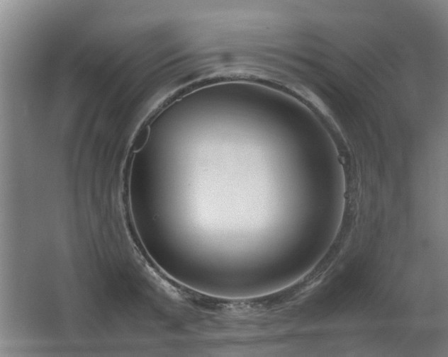 X0000067340799200603311125