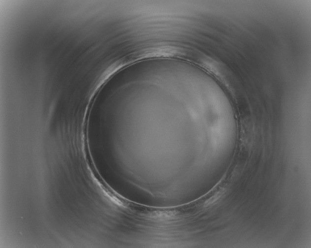 X0000067340802200603311125