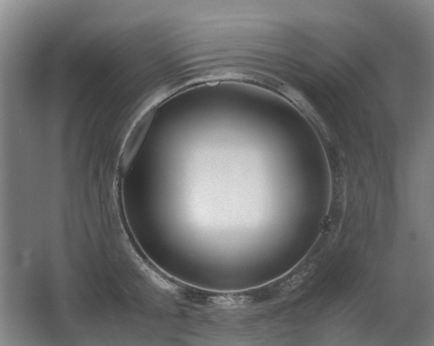 X0000067340805200603311124