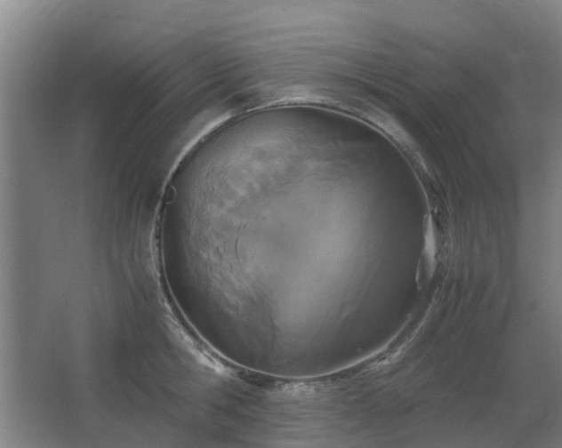 X0000067340806200603311124