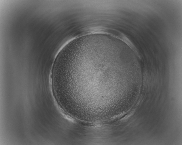 X0000067340814200603311124