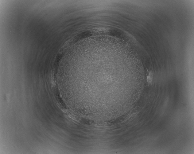 X0000067340819200603311124