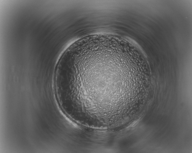 X0000067340855200603311124