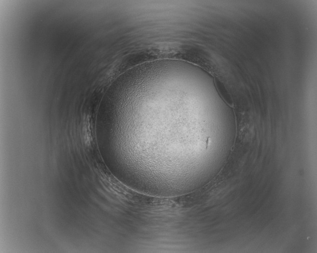X0000067340866200603311123