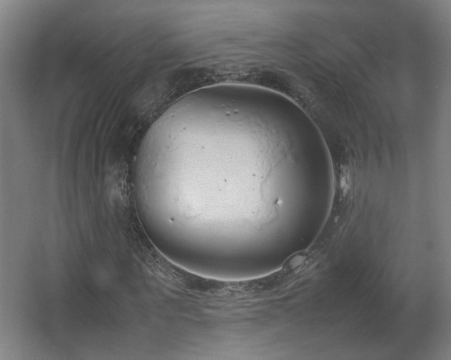 X0000067340867200603311123