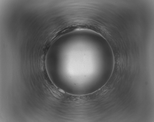 X0000067340868200603311123