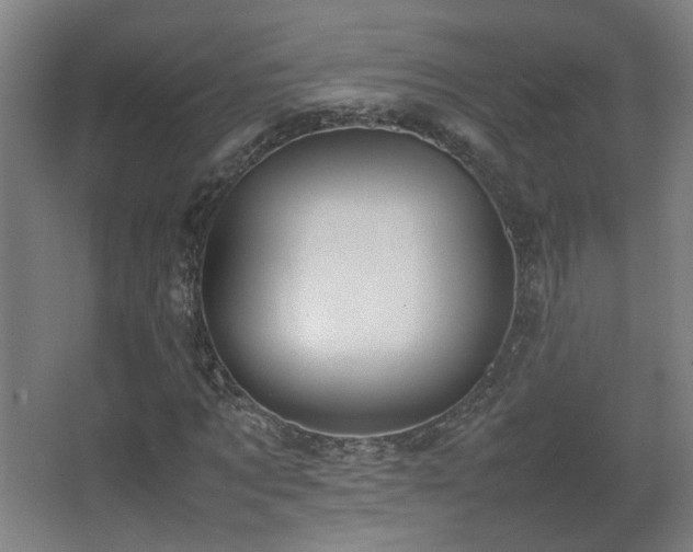 X0000067340869200603311123