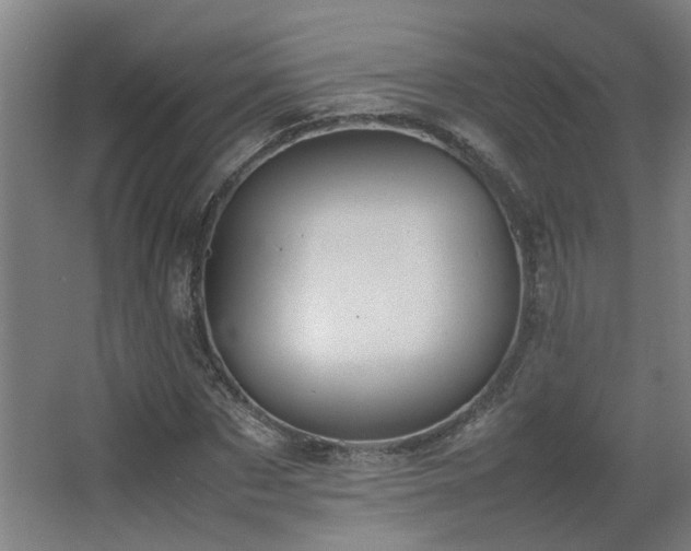 X0000067340873200603311123