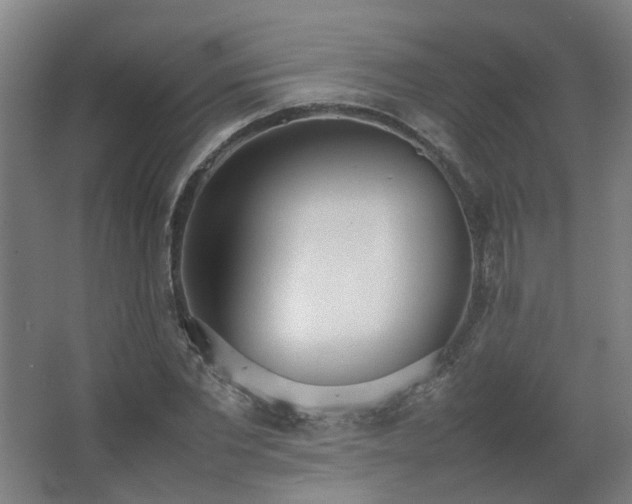 X0000067340877200603311123
