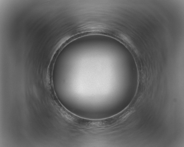 X0000067340883200603311123