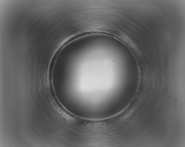 X0000067340884200603311123