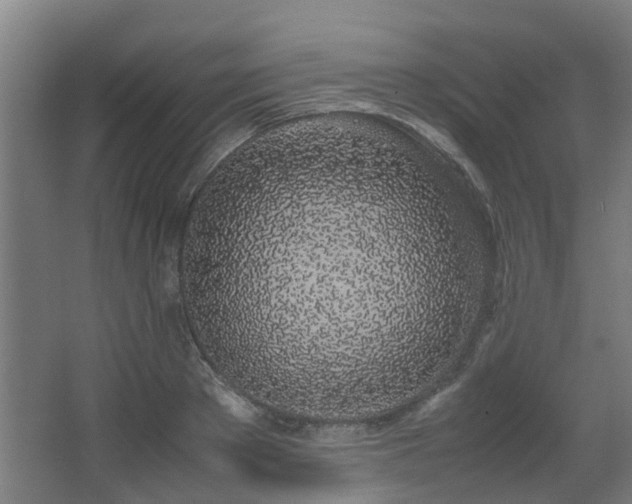 X0000067340889200603311123