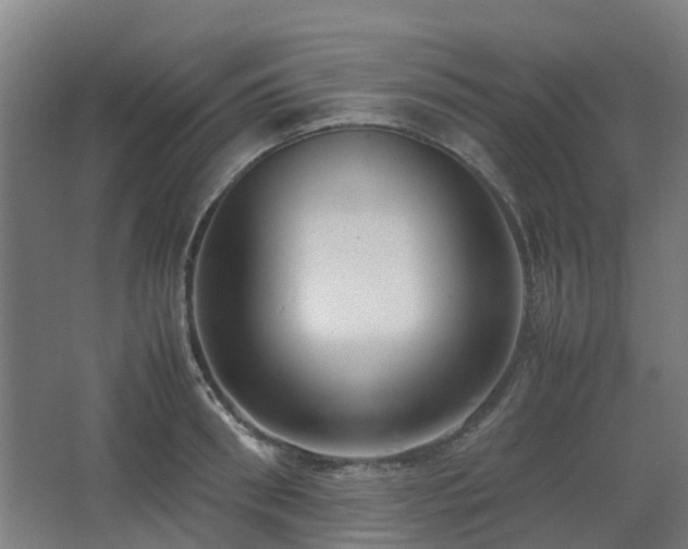 X0000067340898200603311123