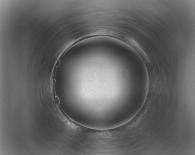 X0000067340900200603311123