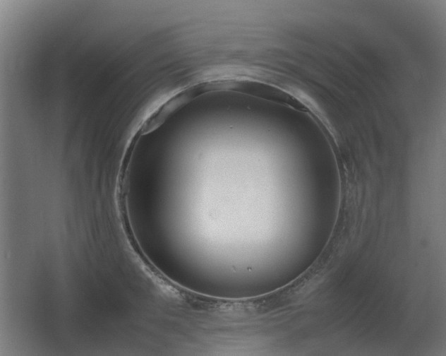 X0000067340901200603311123