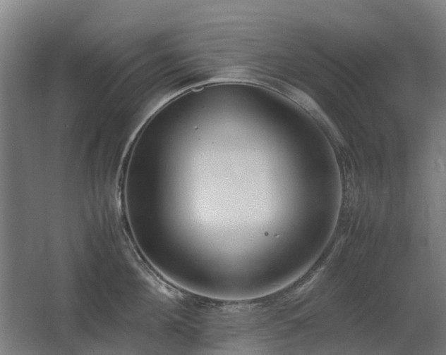 X0000067340908200603311123