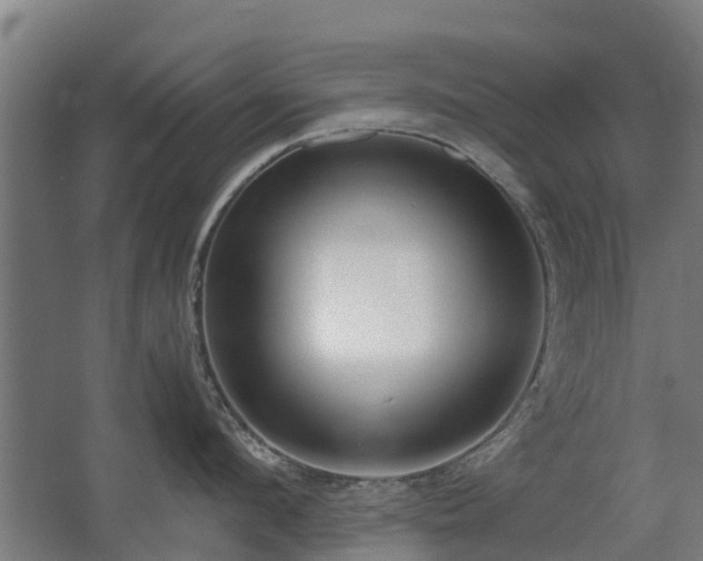 X0000067340912200603311123