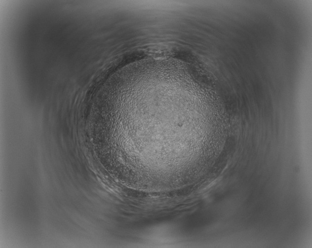 X0000067340913200603311122