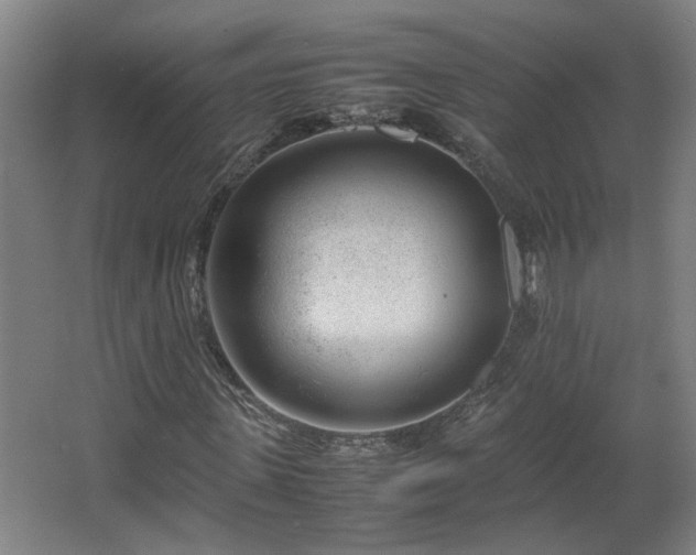 X0000067340915200603311122