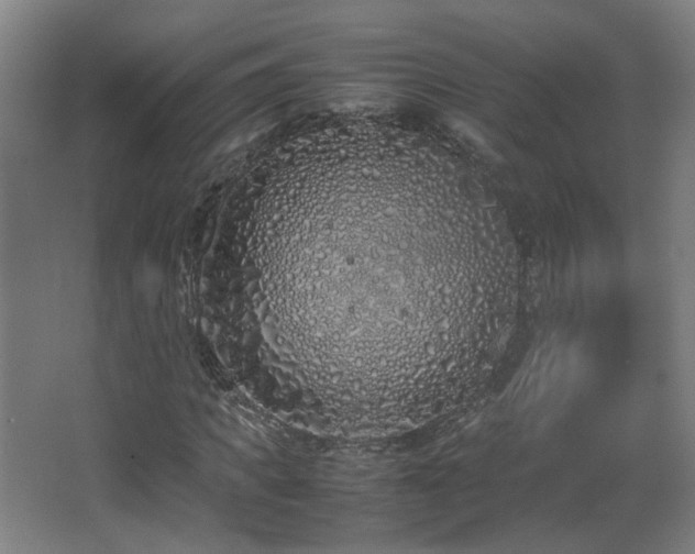 X0000067340917200603311122