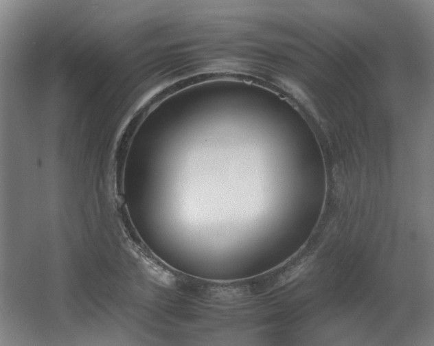 X0000067340931200603311122