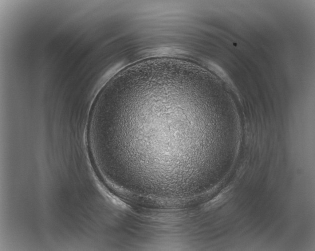 X0000067340946200603311122