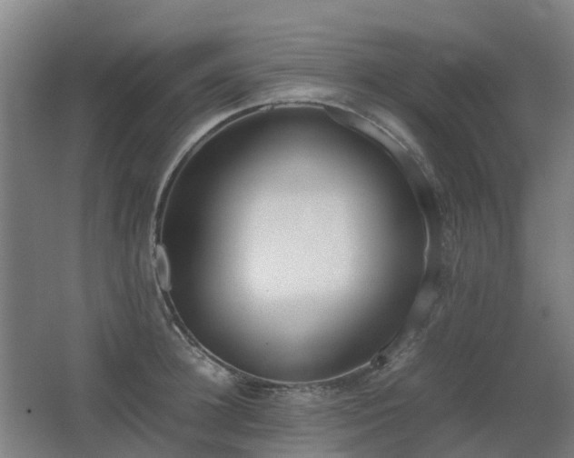X0000067340948200603311122