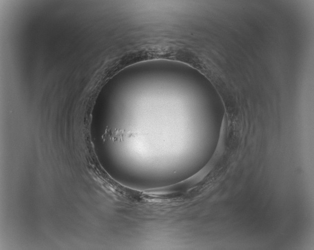 X0000067340961200603311122