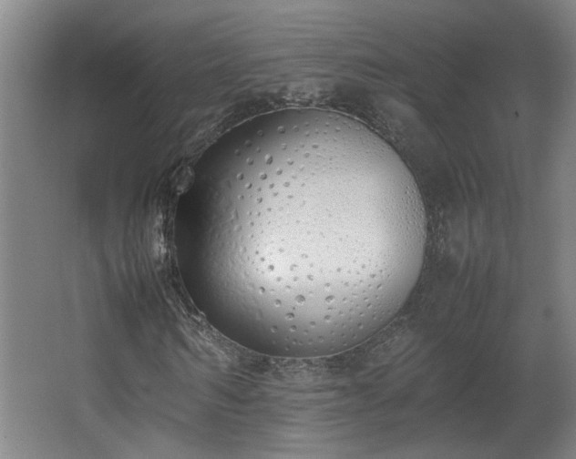 X0000067340962200603311122