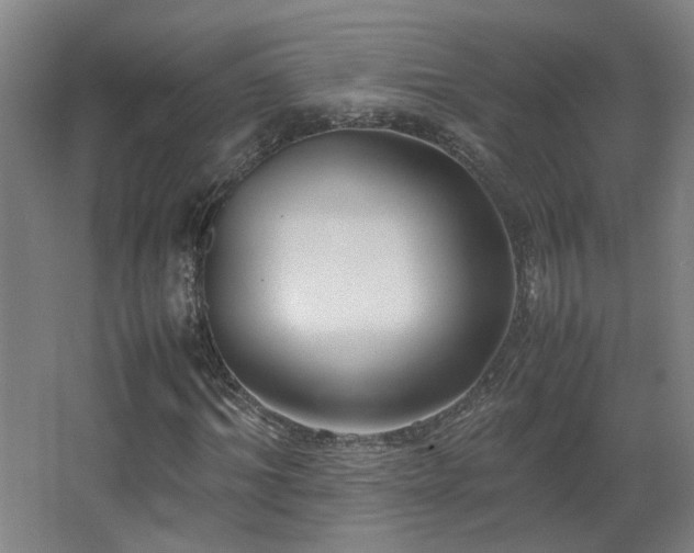 X0000067340964200603311122