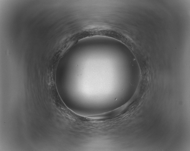 X0000067340965200603311122