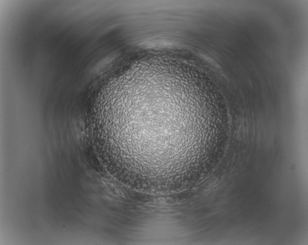 X0000067340966200603311122