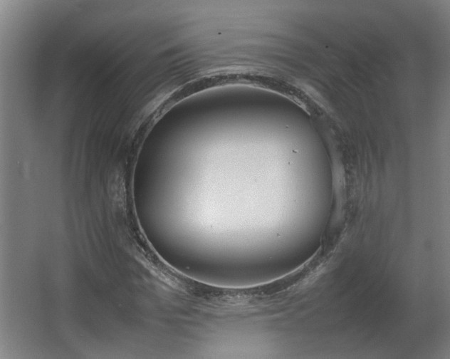 X0000067340969200603311122