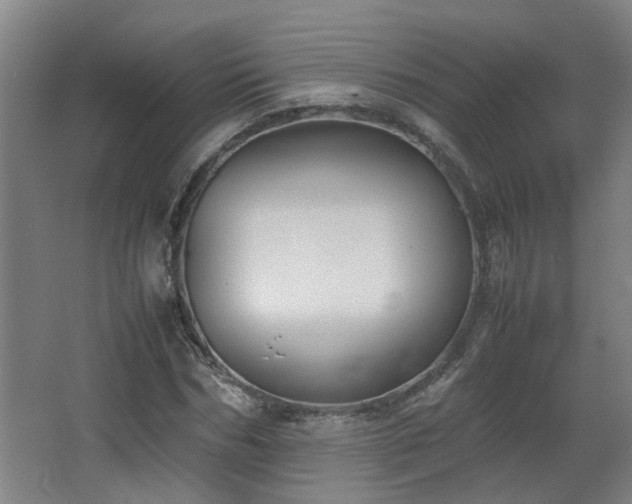 X0000067340970200603311122