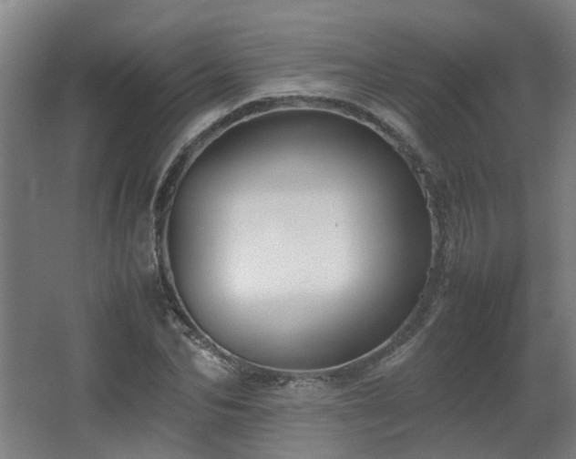 X0000067340974200603311122