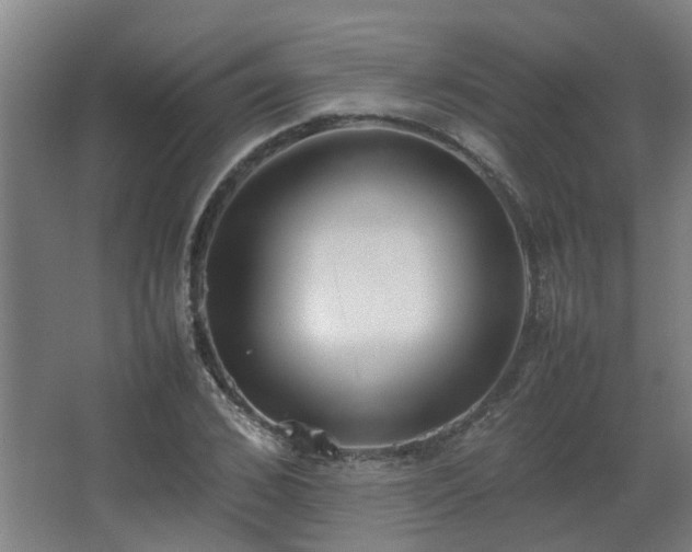 X0000067340976200603311122