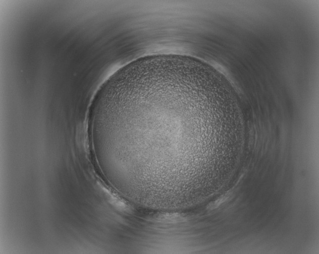 X0000067340982200603311121