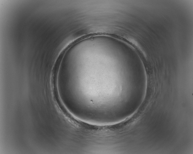 X0000067340983200603311121