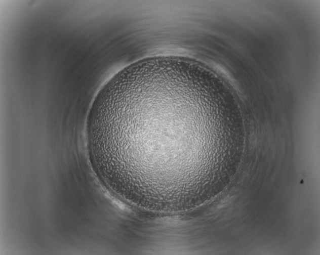 X0000067340990200603311121