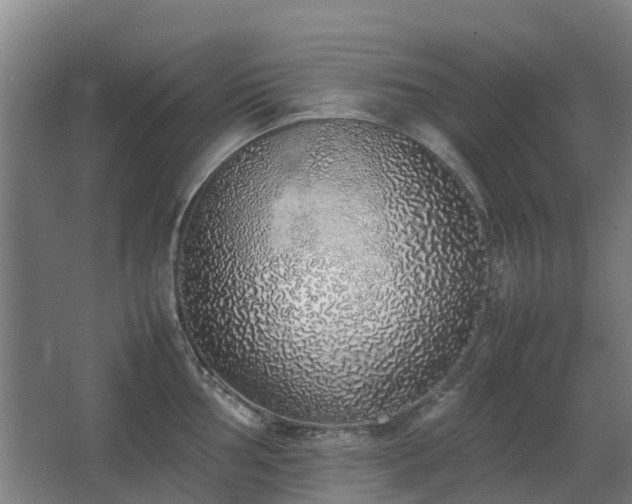 X0000067341002200603311121