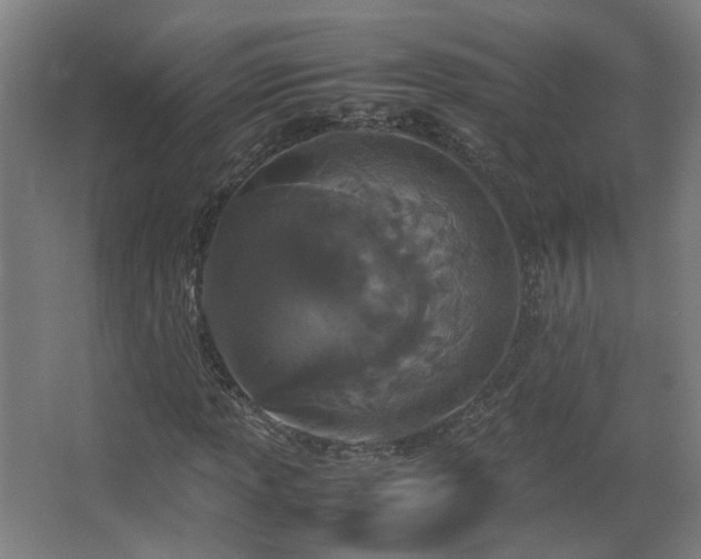 X0000067341013200603311120